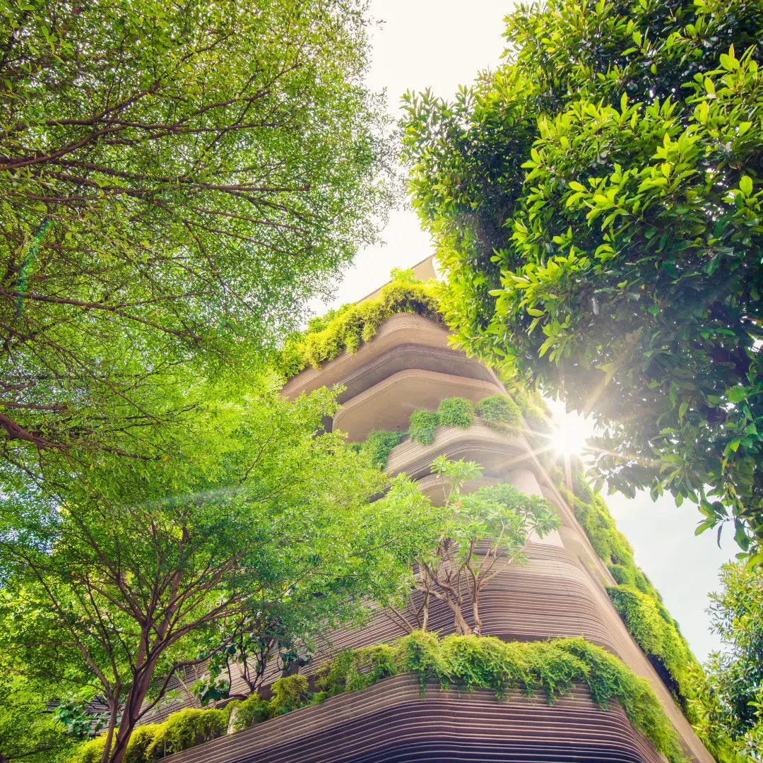 Environment